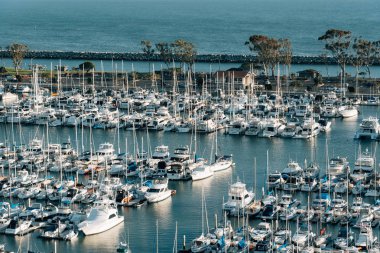 Dana Point, Orange C limanda bir marinada teknelerin görünümü