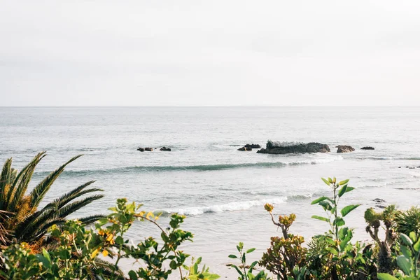 Piante verdi e vista sull'Oceano Pacifico a Crescent Bay Point — Foto Stock