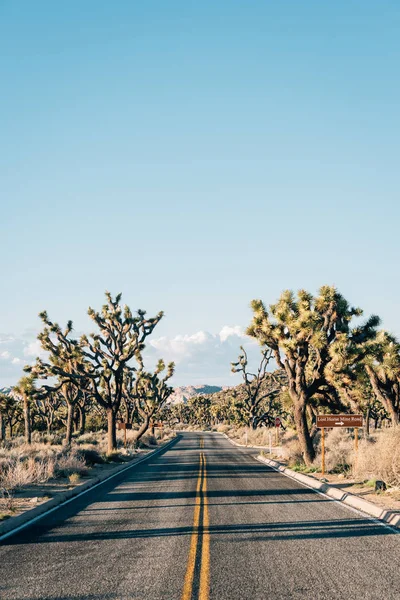 Vej i ørkenen, i Joshua Tree National Park, Californien - Stock-foto