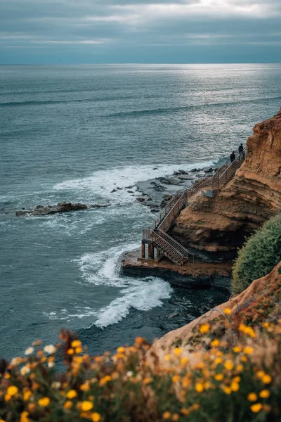 Flores y escalera en el Parque Natural Sunset Cliffs, en Point Lo — Foto de Stock