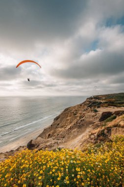 Glider Limanı, Torrey Pines Eyalet Rezervi, Sa