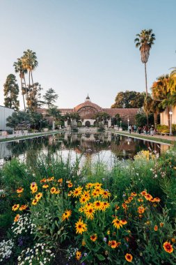 Çiçekler, Lily Pond ve Balboa Park Botanik Binası, S