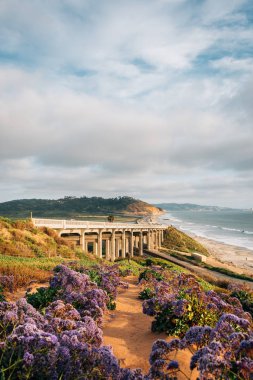 Del Mar, San'daki Torrey Pines Yolu ve Pasifik Okyanusu manzarası 