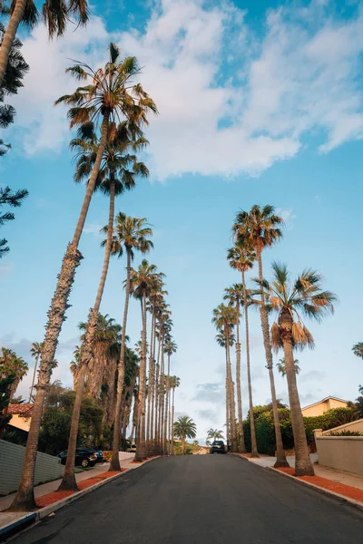 Palmeras y calle cerca de Windansea Beach, en La Jolla, San Die — Foto de Stock