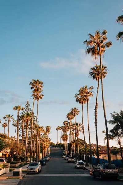 Palm bomen en straat in de buurt van Windansea Beach, in La Jolla, San die — Stockfoto