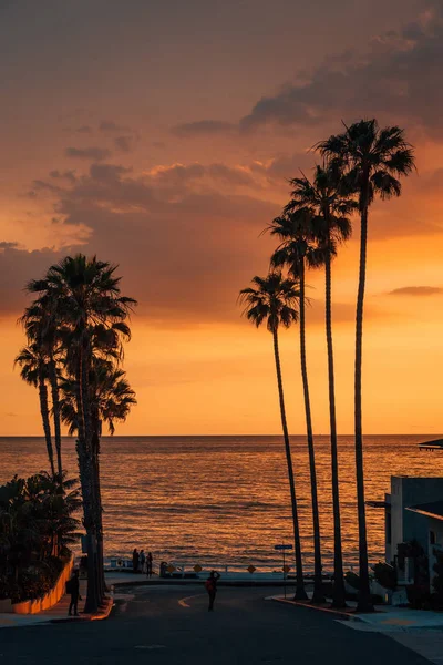 Palm bomen en straat bij zonsondergang, aan het strand van Windansea, in La Jolla — Stockfoto