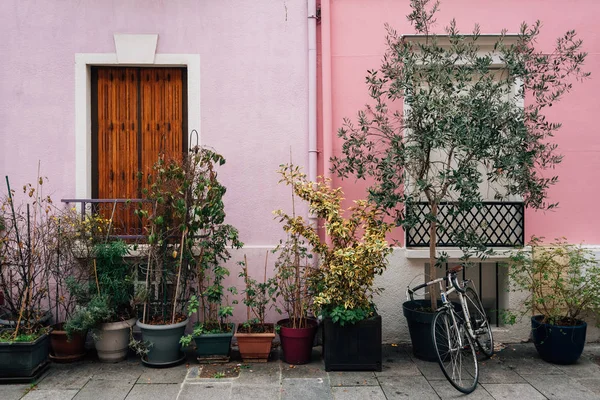 Casa de bicicleta e rosa ao longo da Rue Cremieux em Paris, França — Fotografia de Stock