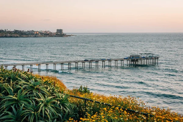 La Jolla Shores'da gün batımında Çiçekler ve Scripps İskelesi manzarası, — Stok fotoğraf