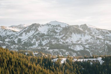 Rocky Mounta Wasatch Aralığında karlı dağların görünümü