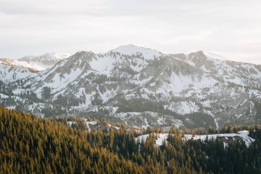 Rocky Mounta Wasatch Aralığında karlı dağların görünümü