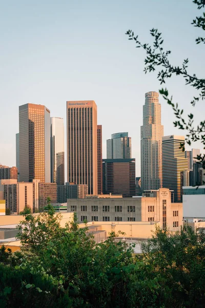 View of the downtown Los Angeles skyline from Vista Hermosa Natu — Stock Photo, Image