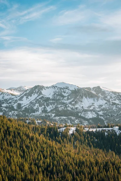 로키 마운트의 와삭 산맥의 눈 덮인 산의 전망 — 스톡 사진