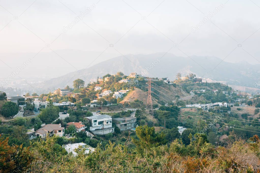 View of the Hollywood Hills from Runyon Canyon Park, in Los Ange