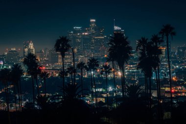 Los Ange şehir merkezi palmiye ağaçları ve cityscape gece silueti görünümü