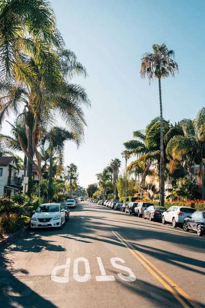 Pálmafák a Chapala utcában a kaliforniai Santa Barbara-ban — Stock Fotó