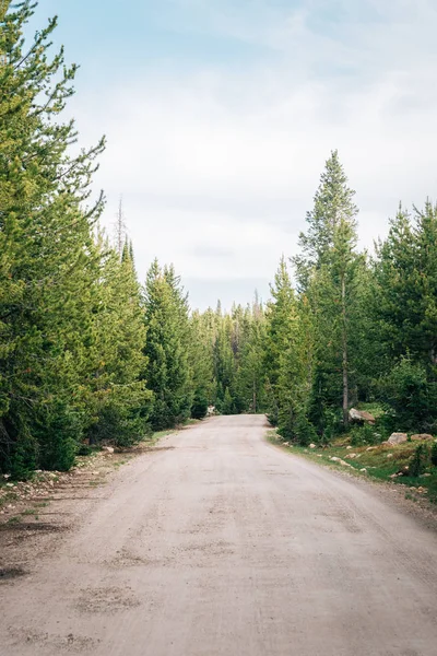 Carretera de tierra en Uinta National Forest, Utah —  Fotos de Stock
