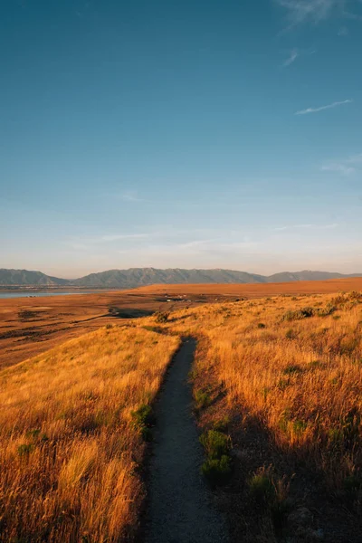 Antelope Island State Park'taki patika, Utah — Stok fotoğraf