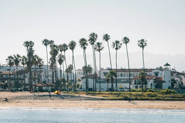 Palmträd på stranden, sett från Stearn ' s Wharf i Santa Barba — Stockfoto