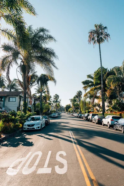 Palm trees on Chapala Street in Santa Barbara, California — Stock Photo, Image