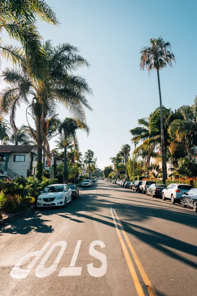Palmeras en Chapala Street en Santa Barbara, California — Foto de Stock