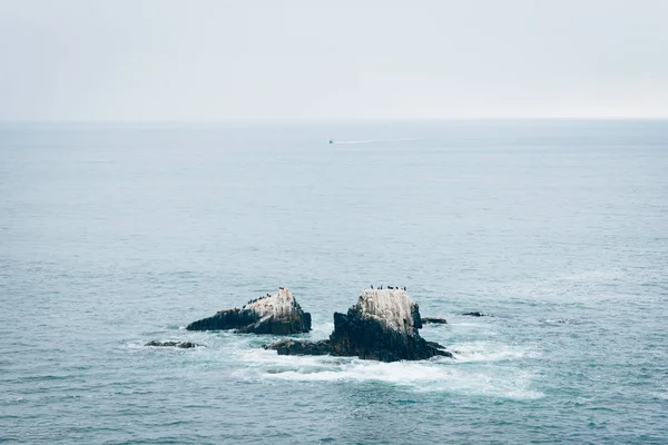 Вид на друк скелі і Тихий океан, від крапки затоки Півмісяця — стокове фото