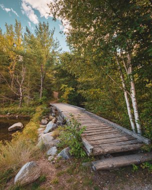 Baxter State Park, Maine 'de tahta bir köprü.