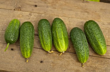 Salatalıklar masada.