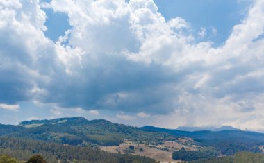 Çim, ağaçlar, bitkiler, gölgeler ve dağ ile peyzaj geniş görünümü, Ooty, Hindistan, 19 Aug 2016