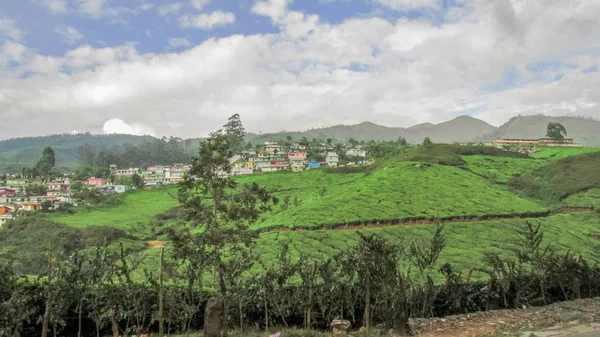 Multi Colored Houses Top Hill Station Seen Huge Tea Plantations — Stock Photo, Image
