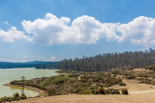 Wide view of landscape with grass, trees, plants, shadows and mountain, Ooty, India, 19 Aug 2016