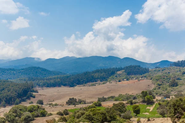 Çim, ağaçlar, bitkiler, gölgeler ve dağ ile peyzaj geniş görünümü, Ooty, Hindistan, 19 Aug 2016