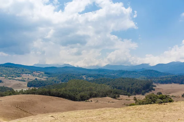 Ampia Vista Del Paesaggio Con Erba Alberi Piante Ombre Montagna — Foto Stock