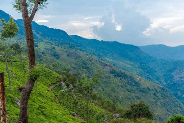 Ampia Veduta Del Punto Vista Del Suicidio Ooty India Ago — Foto Stock