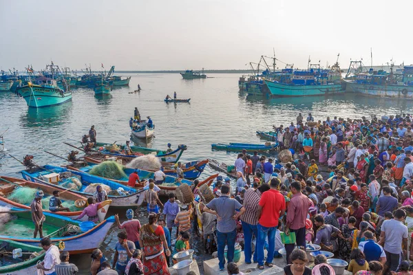 İnsanlar pazarlık ham balıklar arka plan, Kasimedu balık pazarı, Chennai, Hindistan, Kasım 20 2016 içinde deniz balıkçı tekneleri ile Müzayede için sepetler yerleştirilen bir ünlü balık pazarında bir sahne