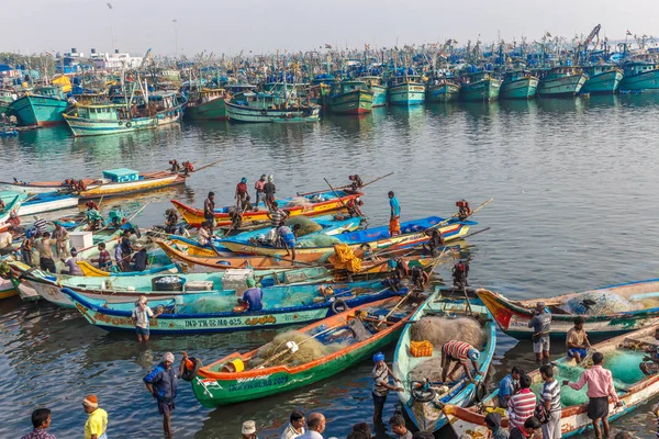 人々は 背景に海辺の漁船でのボートでオークションのバスケットに置かれた生の魚を交渉している有名な魚市場でのシーン Kasimedu 魚市場 チェンナイ インド 2016 — ストック写真