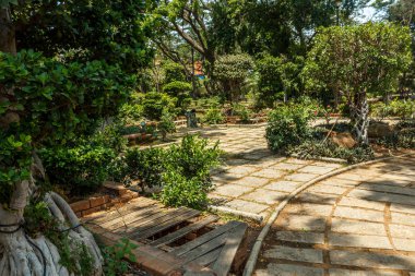 Yeşil bahçe ve yol dar görünümü