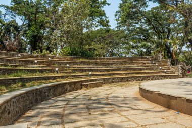 ağaçlar, bitkiler ile kaplı açık doğal bahçe