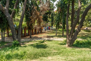 ağaçlar, bitkiler ile kaplı açık doğal bahçe