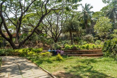 ağaçlar, bitkiler ile kaplı açık doğal bahçe