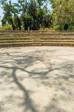 ağaçlar, bitkiler ile kaplı açık doğal bahçe