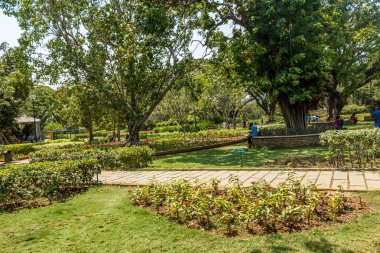 ağaçlar, bitkiler ile kaplı açık doğal bahçe