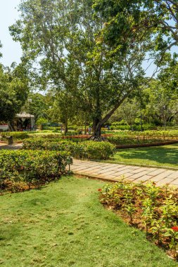 ağaçlar, bitkiler ile kaplı açık doğal bahçe