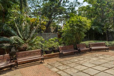 ağaçlar, bitkiler ile kaplı açık doğal bahçe