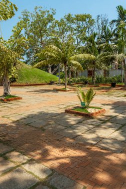 ağaçlar, bitkiler ile kaplı açık doğal bahçe