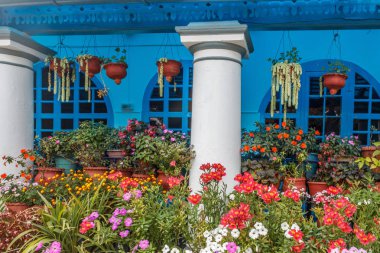 Çok renkli çiçekler kamu görünümü için bir bahçede görüntülemek için düzenlenmiş