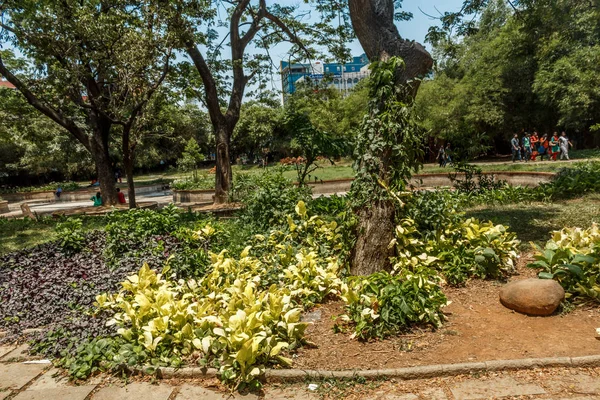 Jardín Natural Abierto Cubierto Árboles Plantas — Foto de Stock