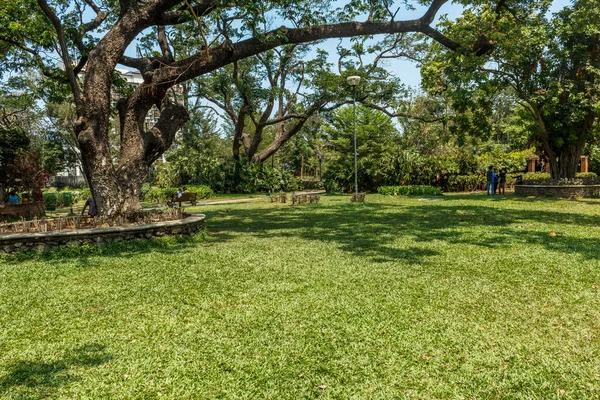 Jardín Natural Abierto Cubierto Árboles Plantas — Foto de Stock