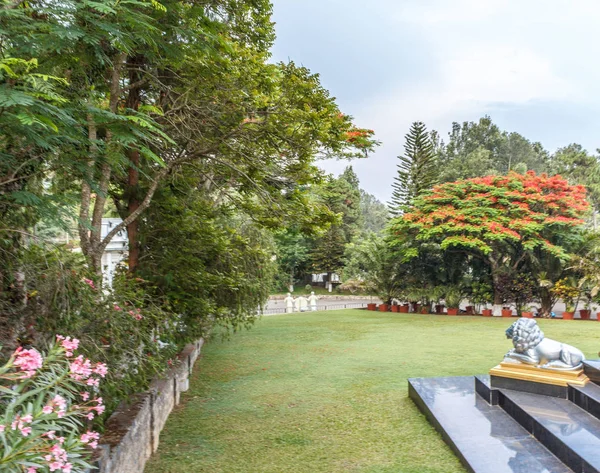 Flores Multicolores Dispuestas Para Exhibición Jardín Para Vista Del Público — Foto de Stock