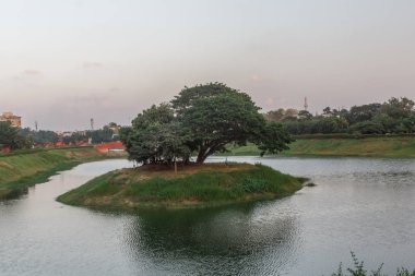 Tamil dilinde Chethupattu Aeri olarak da bilinen Chetpet gölü. 
