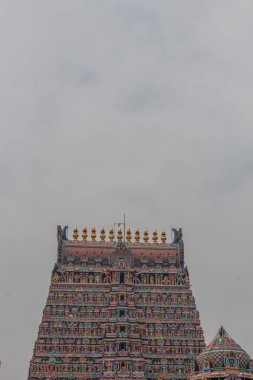 Saranga kulesinde farklı tanrı ve tanrıça heykelleri görünümü